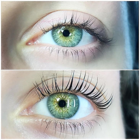 Lash Lift + Tint Certification [7 IL CE's]